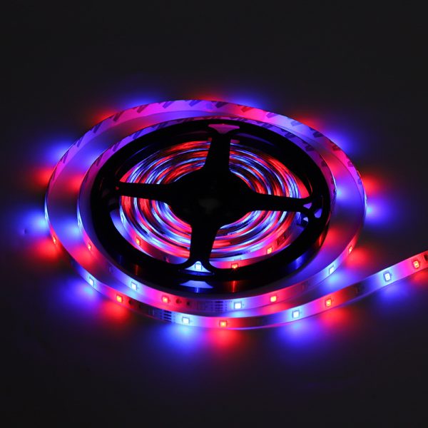 Cinta LED 5 Metros - Imagen 4