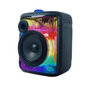 Parlante Bluetooth de 6 Pulgadas QL-610