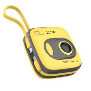 Power Bank WP-31