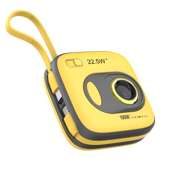 Power Bank WP-31